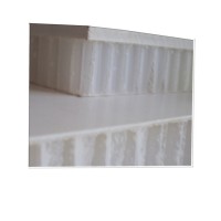 innocuous harmless polypropylene honeycomb core plastic panel(building material) made in china