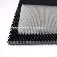 PC honeycomb core in PVC boards of furniture fitting