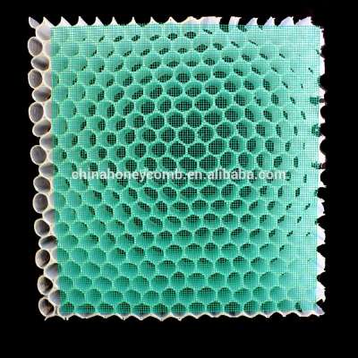 transparent PC PP honeycomb core for water purifier filter china supplier