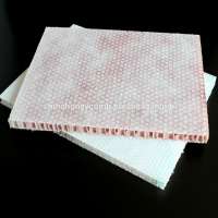 PP honeycomb core board of plastic regular hole decorative sheet from China