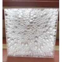 Polycarbonate Honeycomb core Plastic drainage panel from china